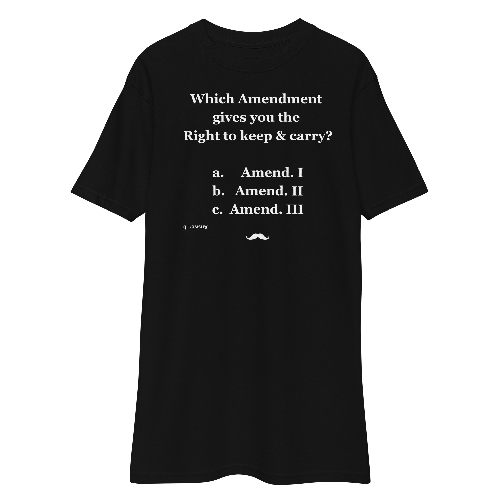 Amend. II - Men’s Premium Heavyweight Tee