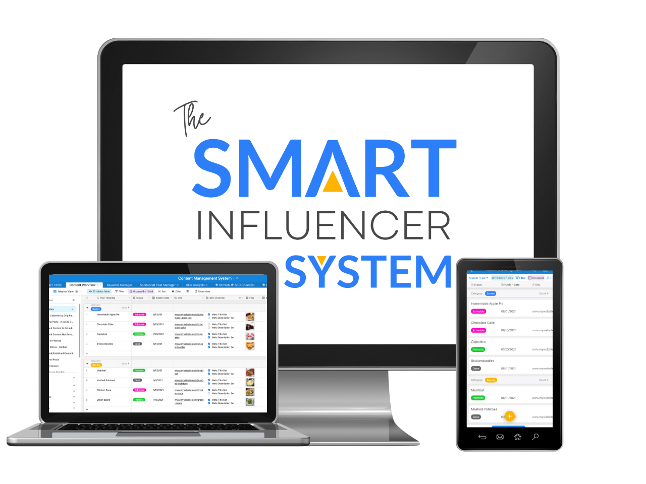 The SMART Influencer System