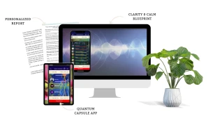 Clarity & Calm BluePrint Scan