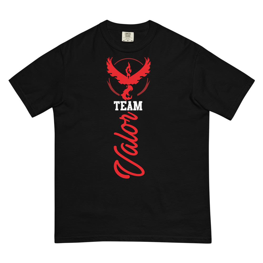 Team Valor - Unisex t-shirt