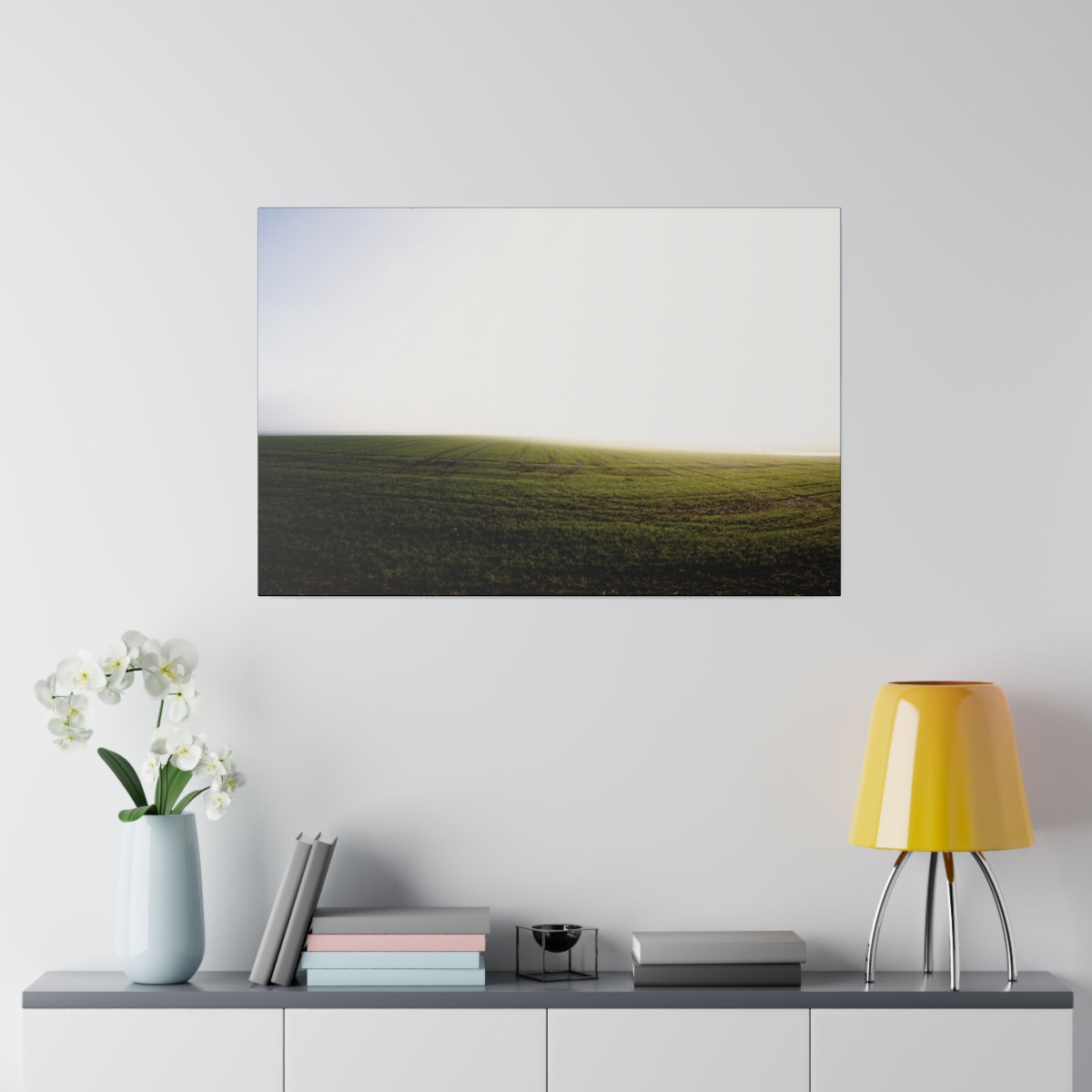 Sunlit Plains