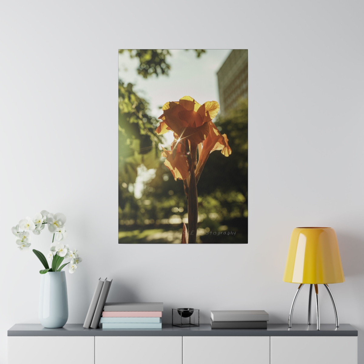 Illuminated Bloom
