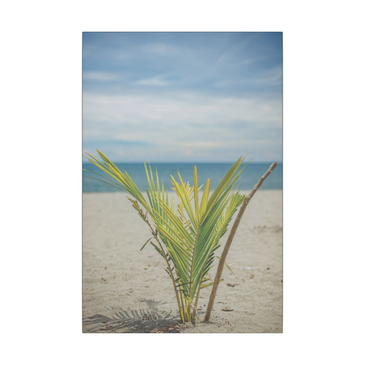 Tranquil Beach Morning