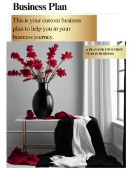 Professional Business Plan