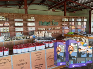 Onexxa Product Factory Ai