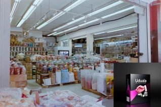 Uduala Ecomm Business Creator