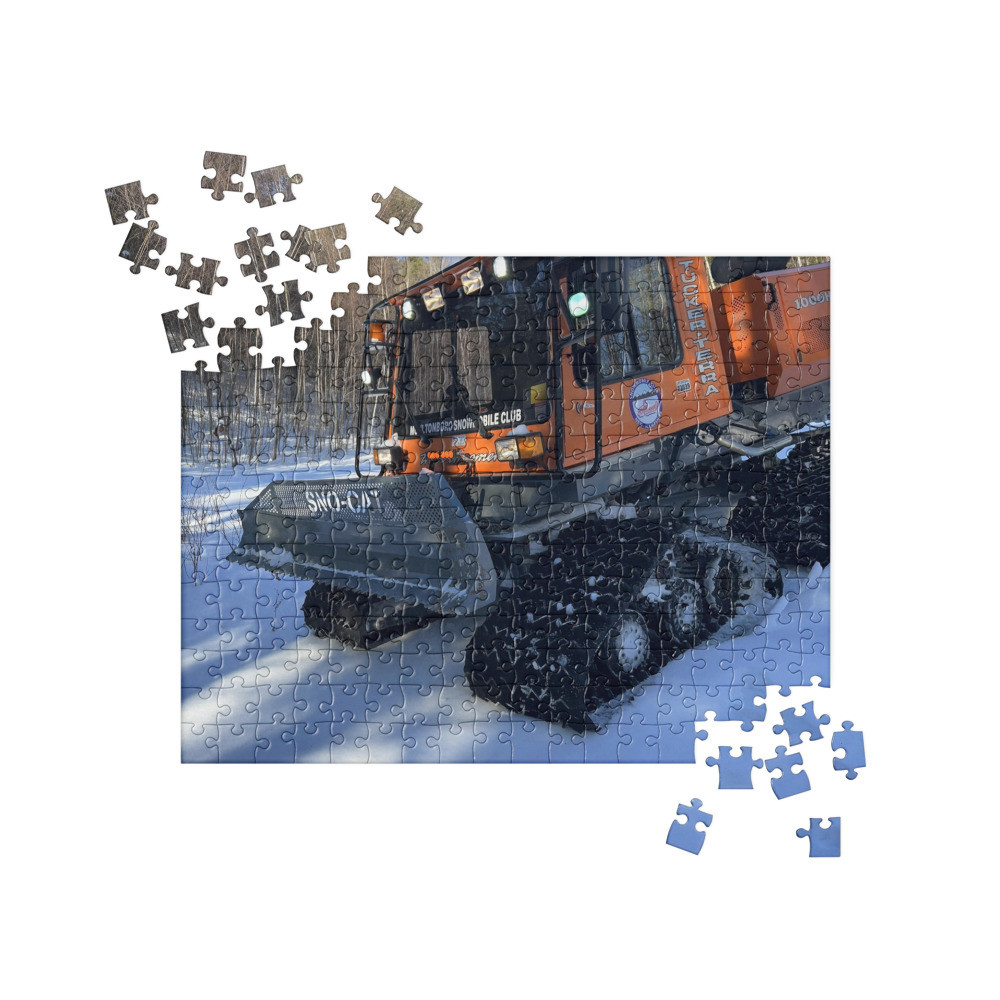Jigsaw Puzzle
