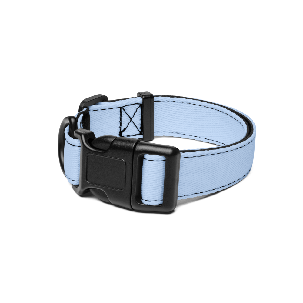 Pet Collar
