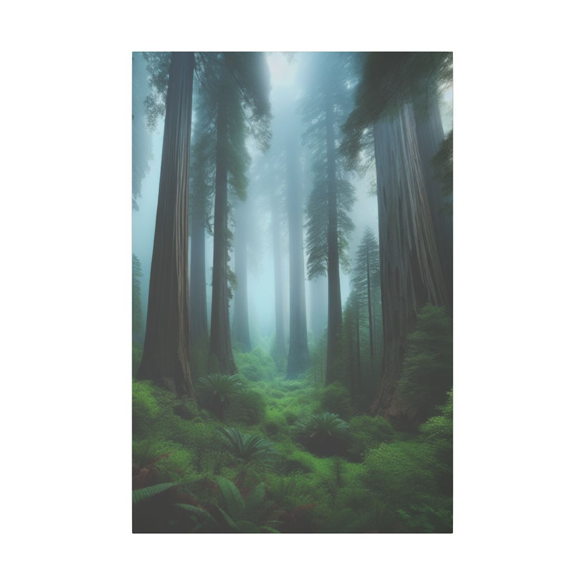 Immerse in Majestic Redwoods and Mist: A Serene, High-Detail Forest Canvas - Canvas