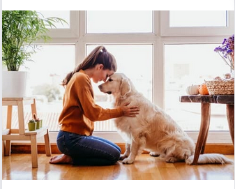 Relaxed Home Energy Balancing MP3