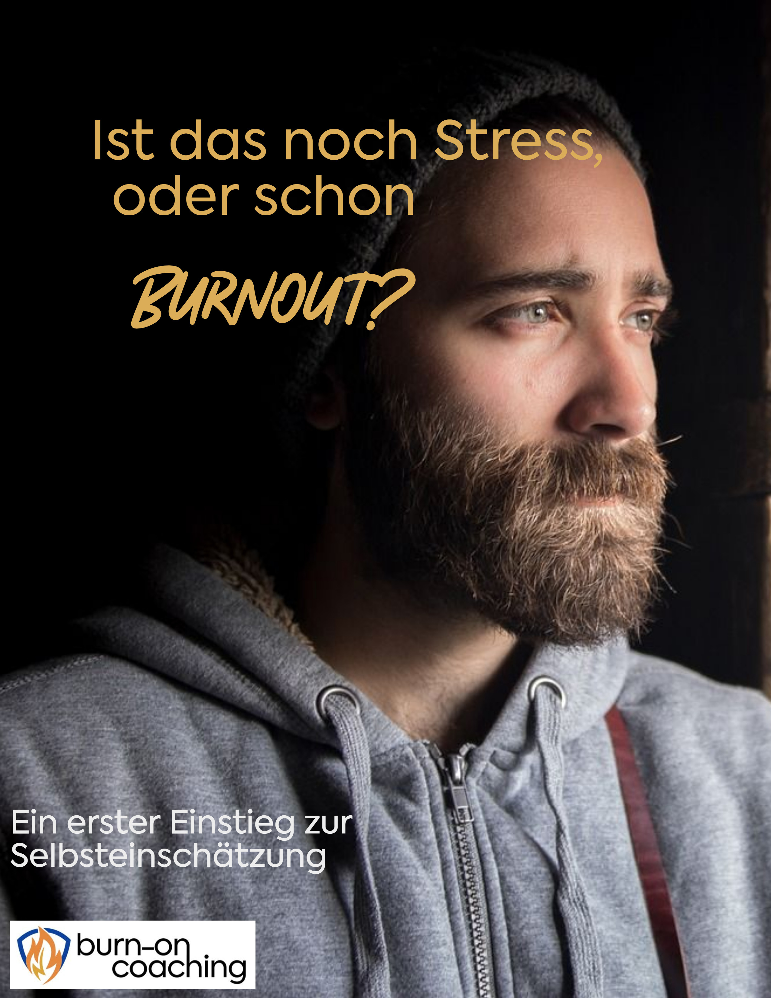 E-Book "Ist das noch Stress, oder schon Burnout?"