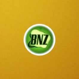 BNZ XBOX STICKER
