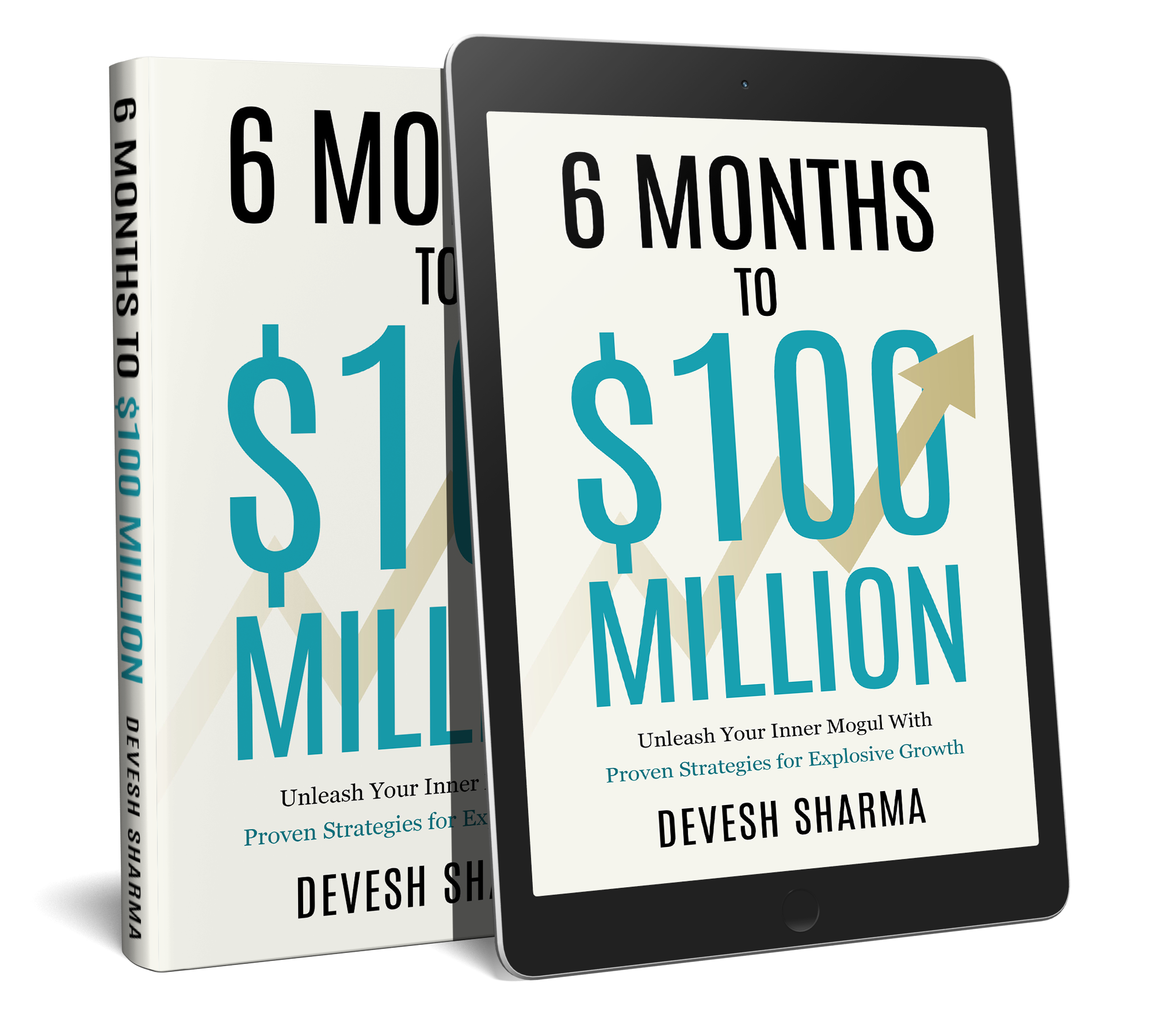 6 Months to $100 Million - E-Book Version