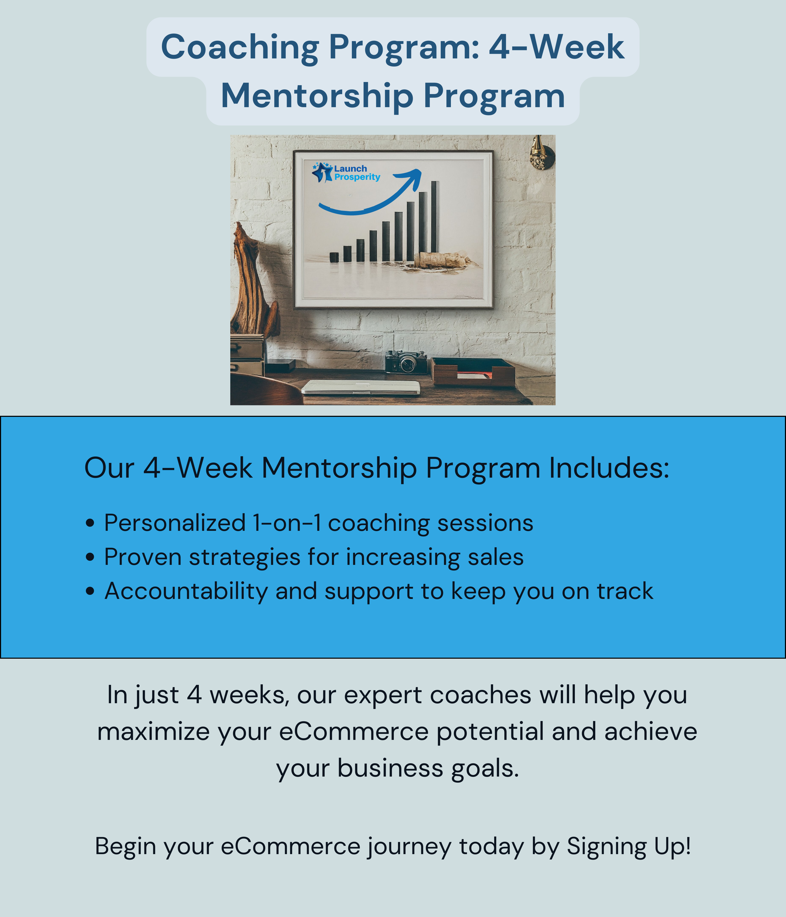 Coaching Program: 4-Week Mentorship Program