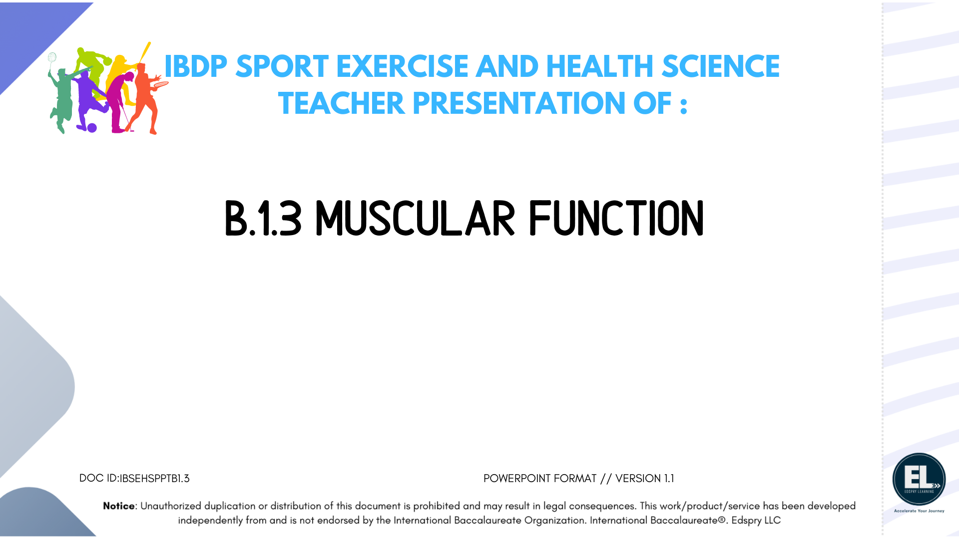 SEHS B.1.3 Muscular Function - PowerPoint
