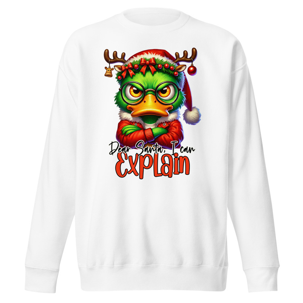 Dear Santa I Can Explain Unisex Premium Sweatshirt