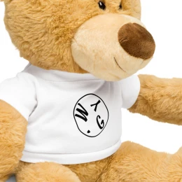 Teddy Bear With A T-Shirt