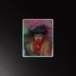 Holographic "Ride A Cowboy" sticker