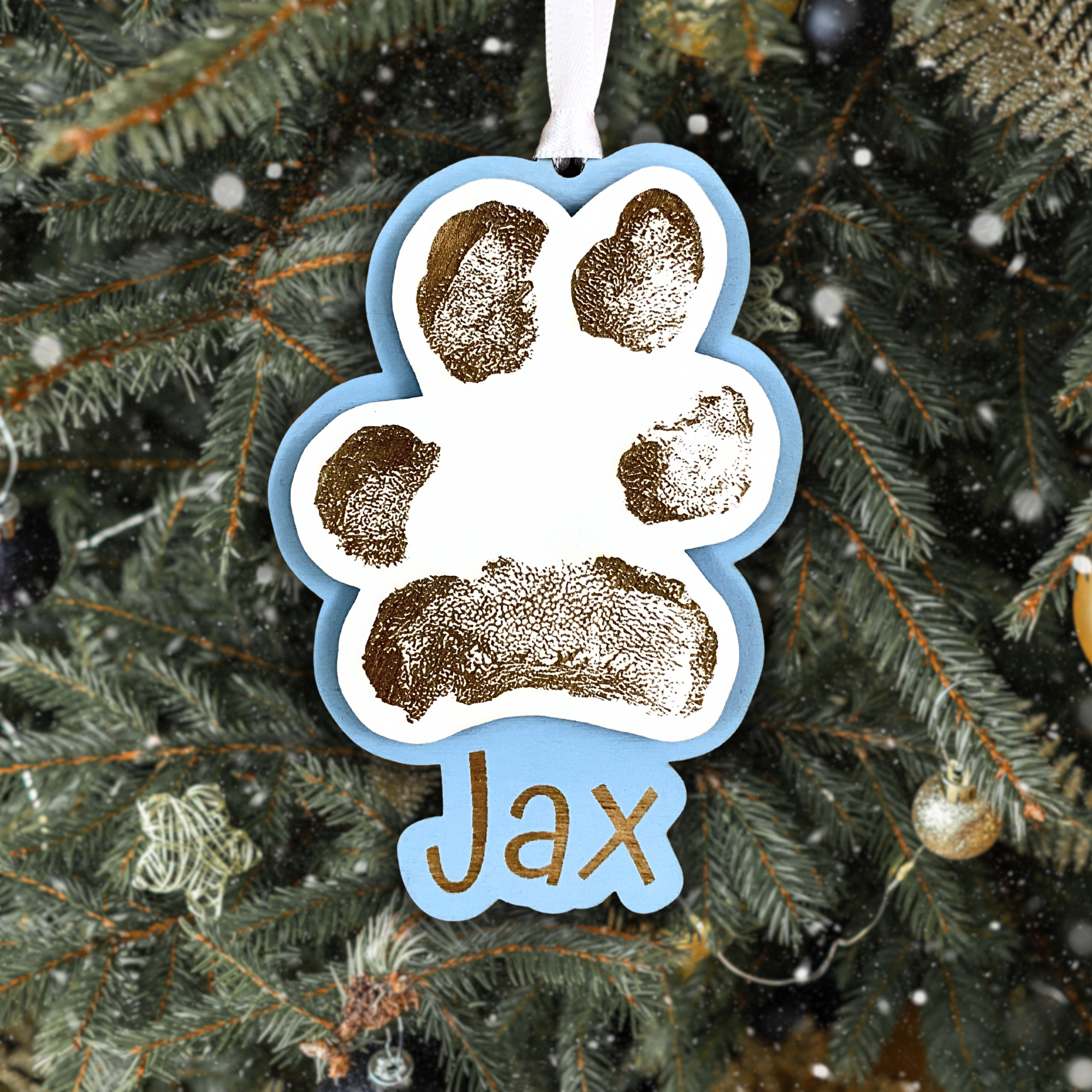 Personalized Pet Print Ornament - Double Layer