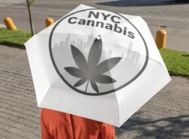 Semi-Automatic Foldable Umbrella