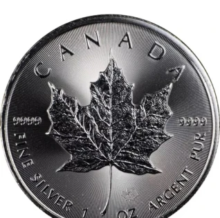 2024 Canada 1oz maple leaf bullion coin