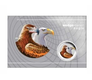 2026 Wedge-Tailed Eagle Silver Coloured 1 Oz Coin Highly Sought After