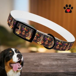 Queens Fur Babies Collar