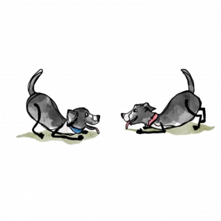 Max the Pup Stickers