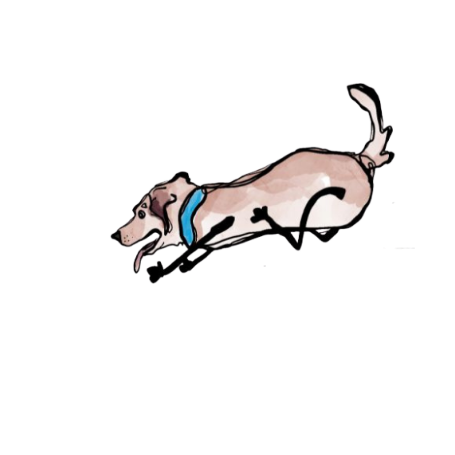 Flying Anatolians