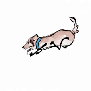 Flying Anatolians