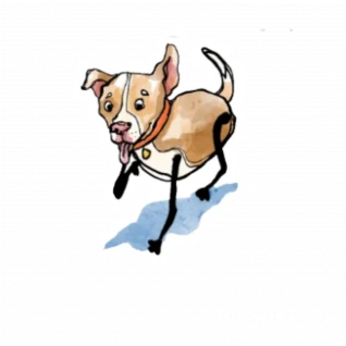 Pitty Party Sticker