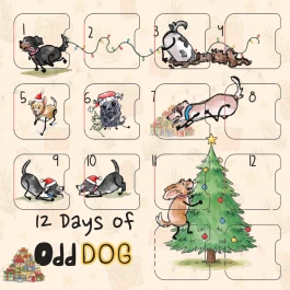 Odd Dog Advent Box