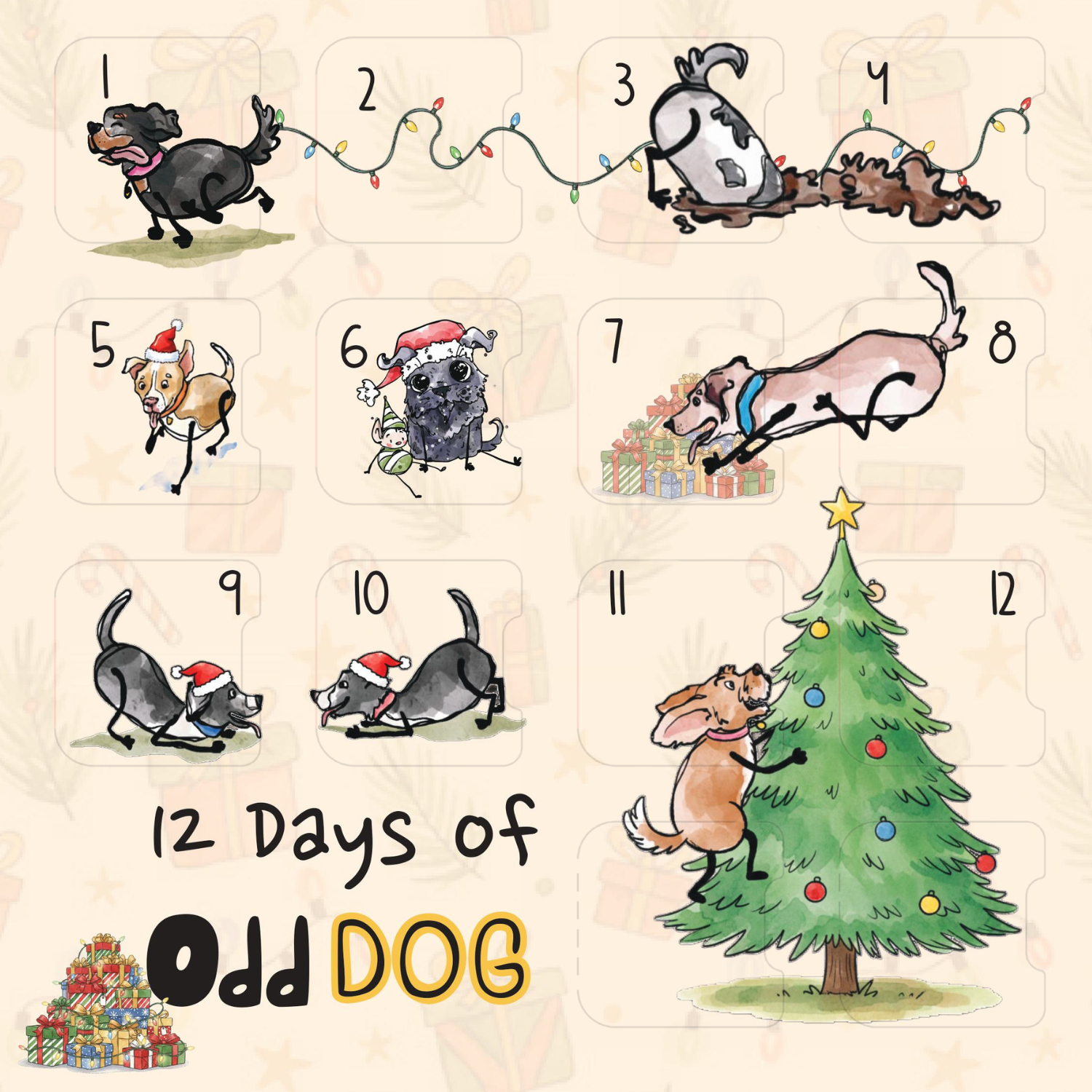 Odd Dog Advent Box