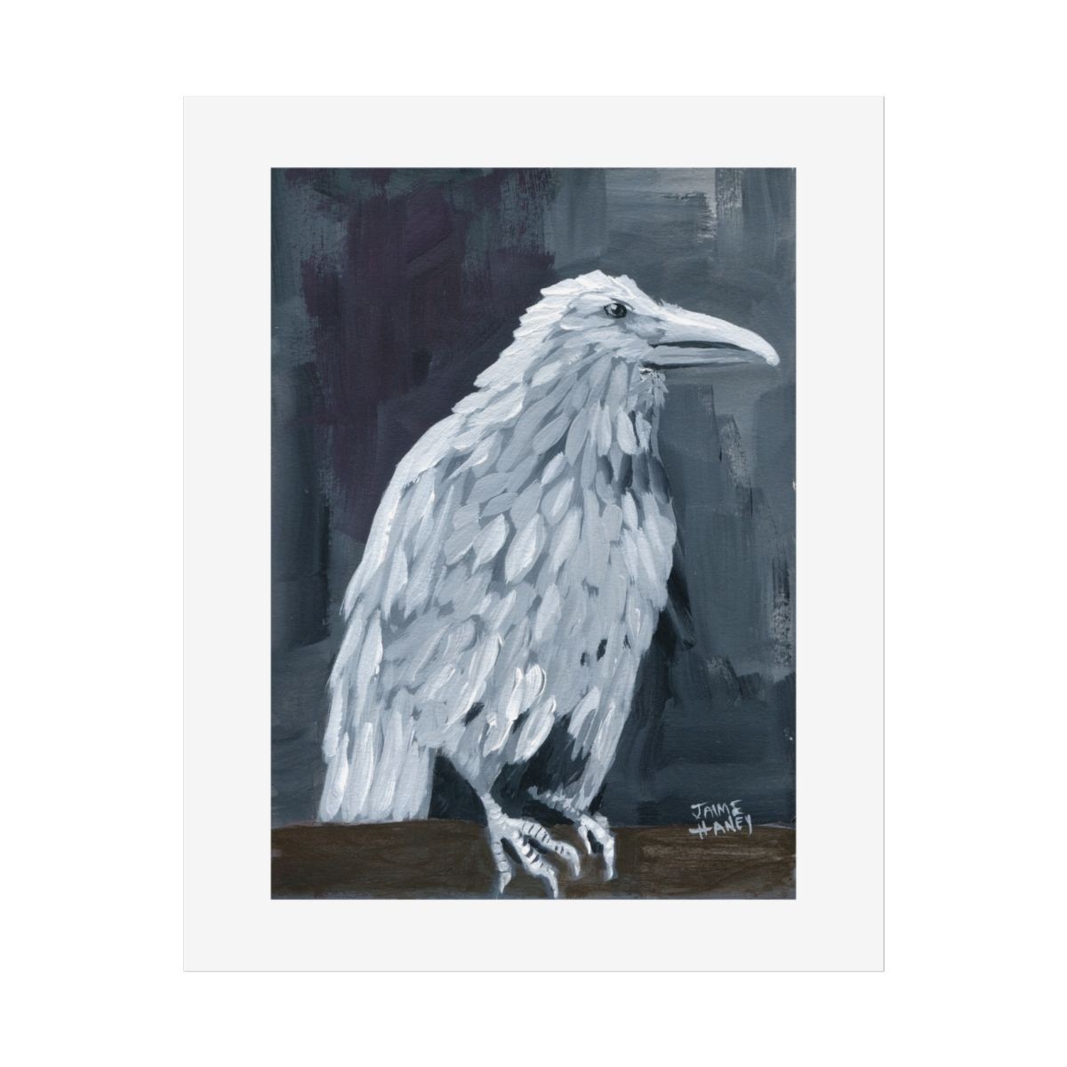 Silent Observation - White Raven Fine Art Print