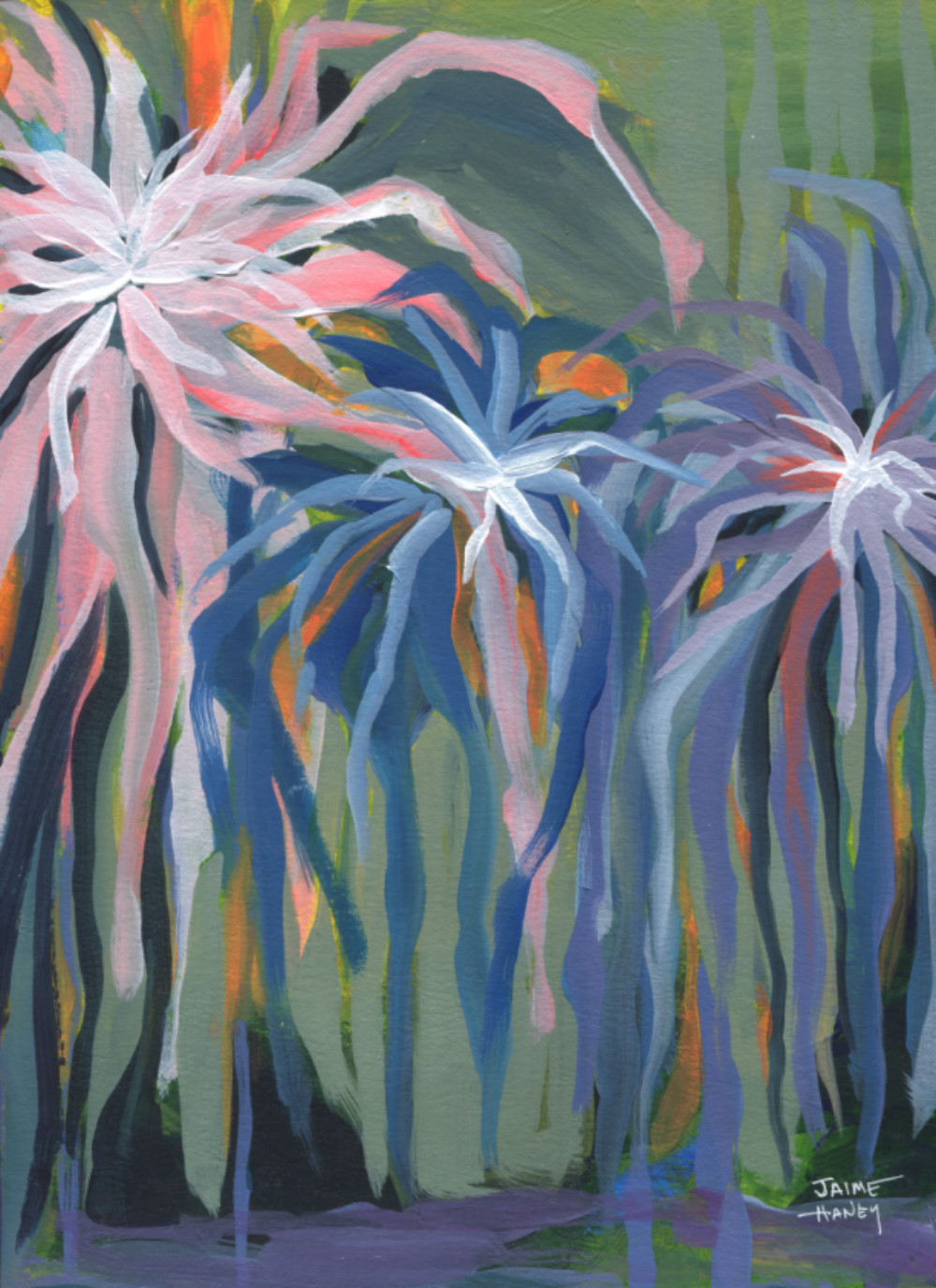 Dahlia Fireworks