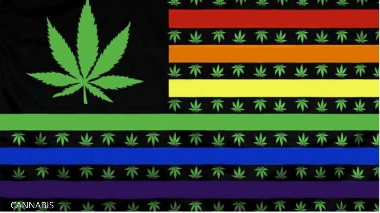 International Cannabis Flag. |  Double Sided