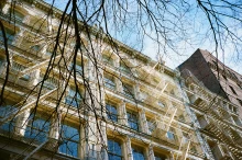 Tribeca Through the Trees
