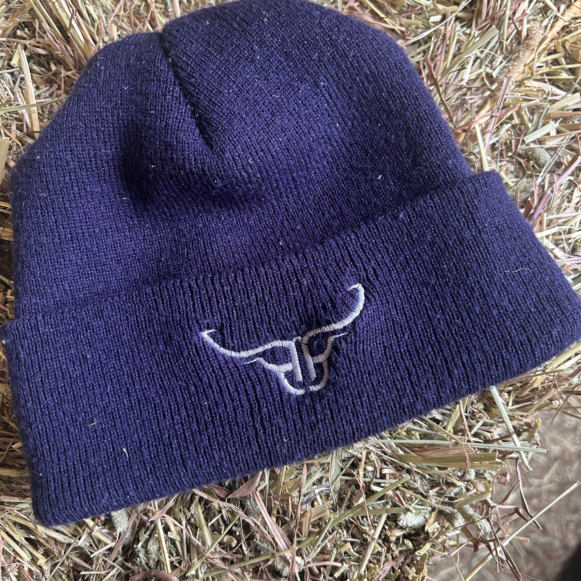 The Brandmark Cuff Blue Beanie