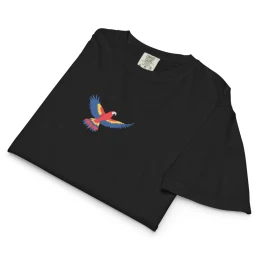 Women’s heavyweight boxy tee