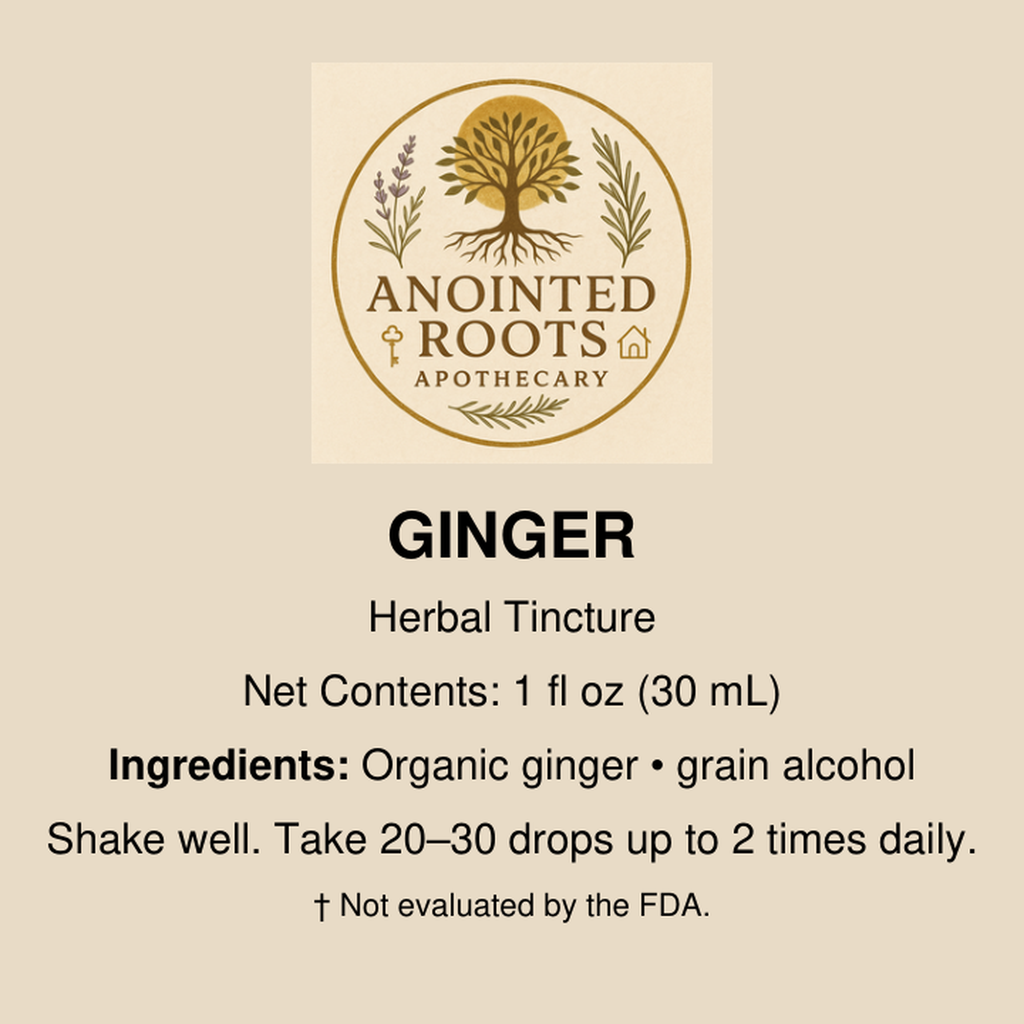 Ginger Tincture