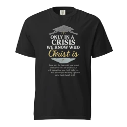 Unisex garment-dyed heavyweight t-shirt