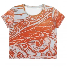 All-Over Print Crop Tee