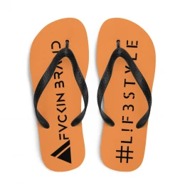 FB \ Flip-Flops