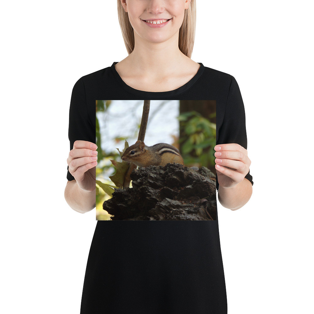 Chipmunk poster on Matte paper