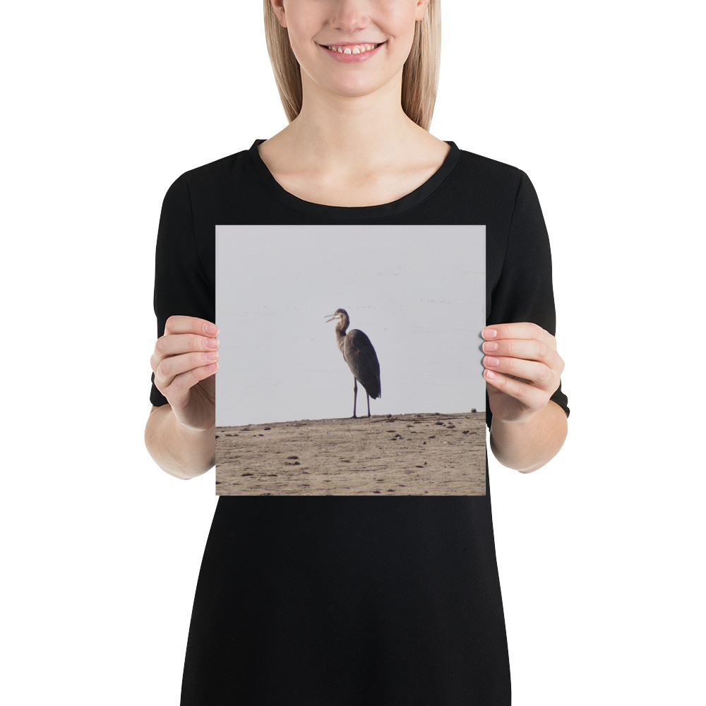 Heron poster on Matte paper