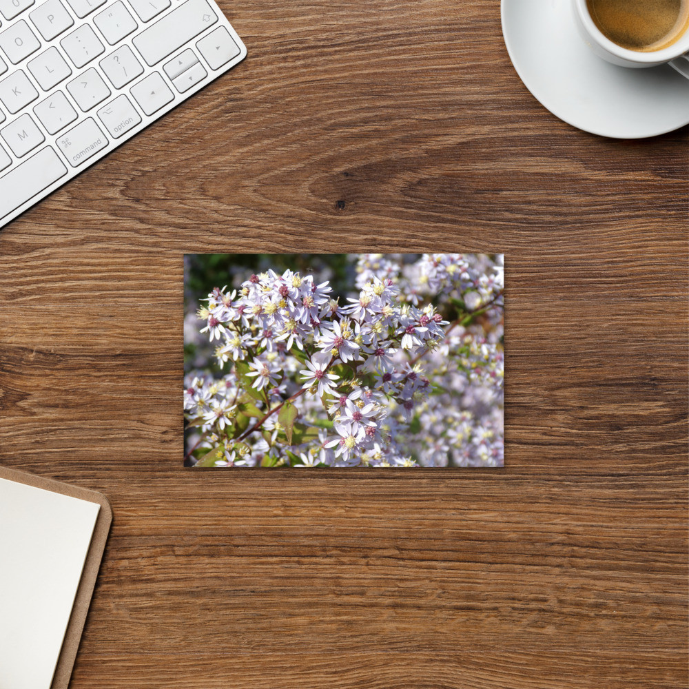 Fall Wildflower Postcard