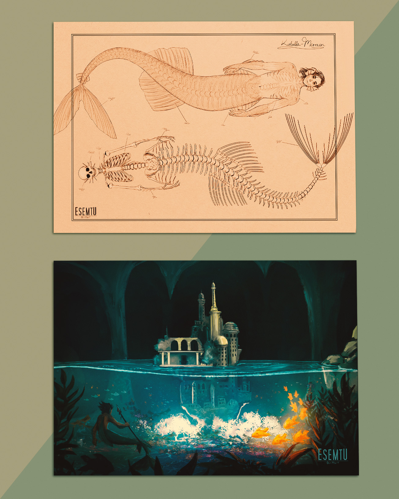 Postcard Set