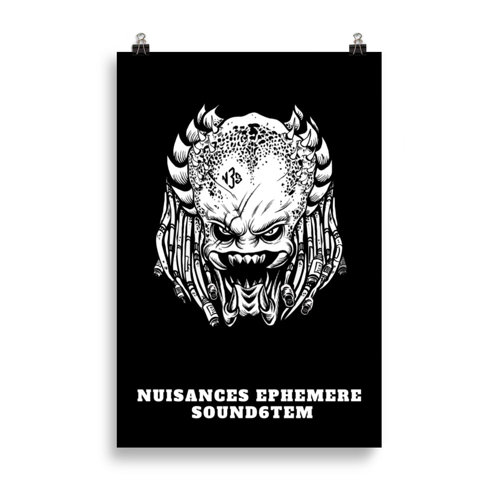 Poster N3S