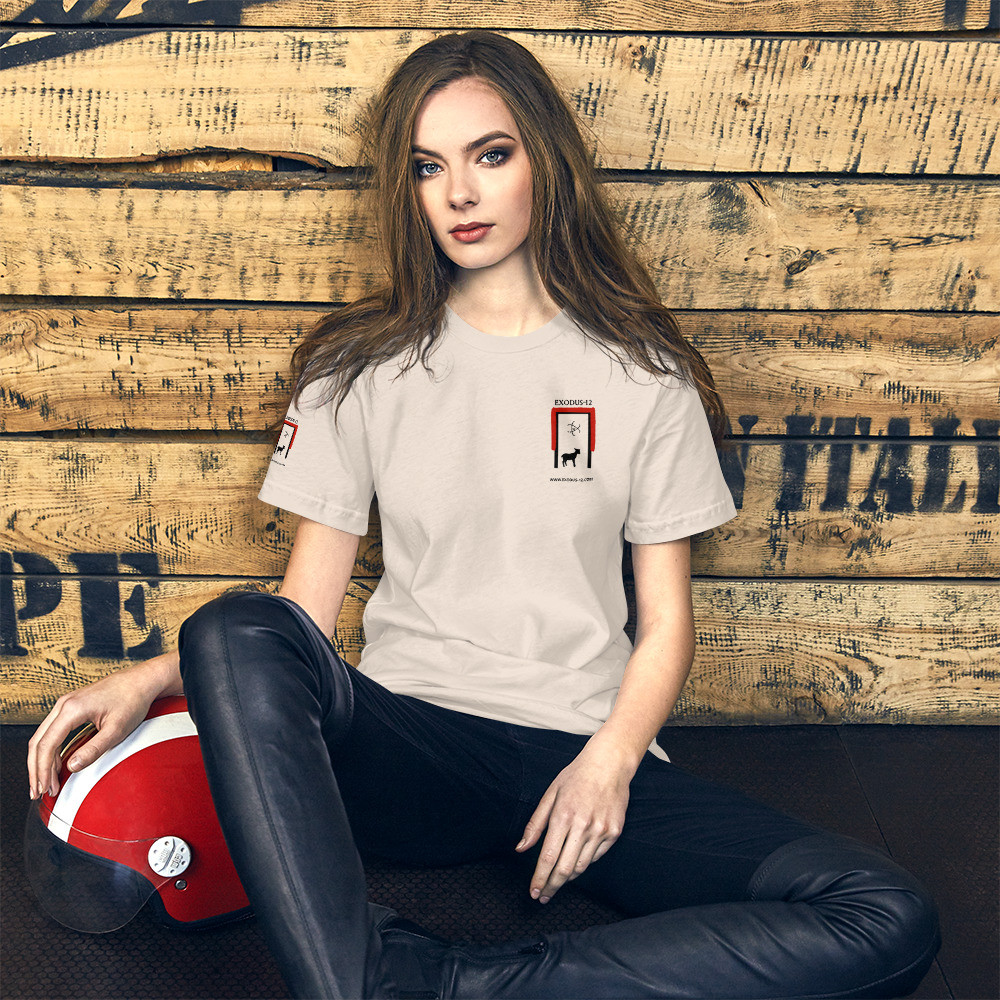Colorful Premium Short-Sleeve Unisex T-Shirt