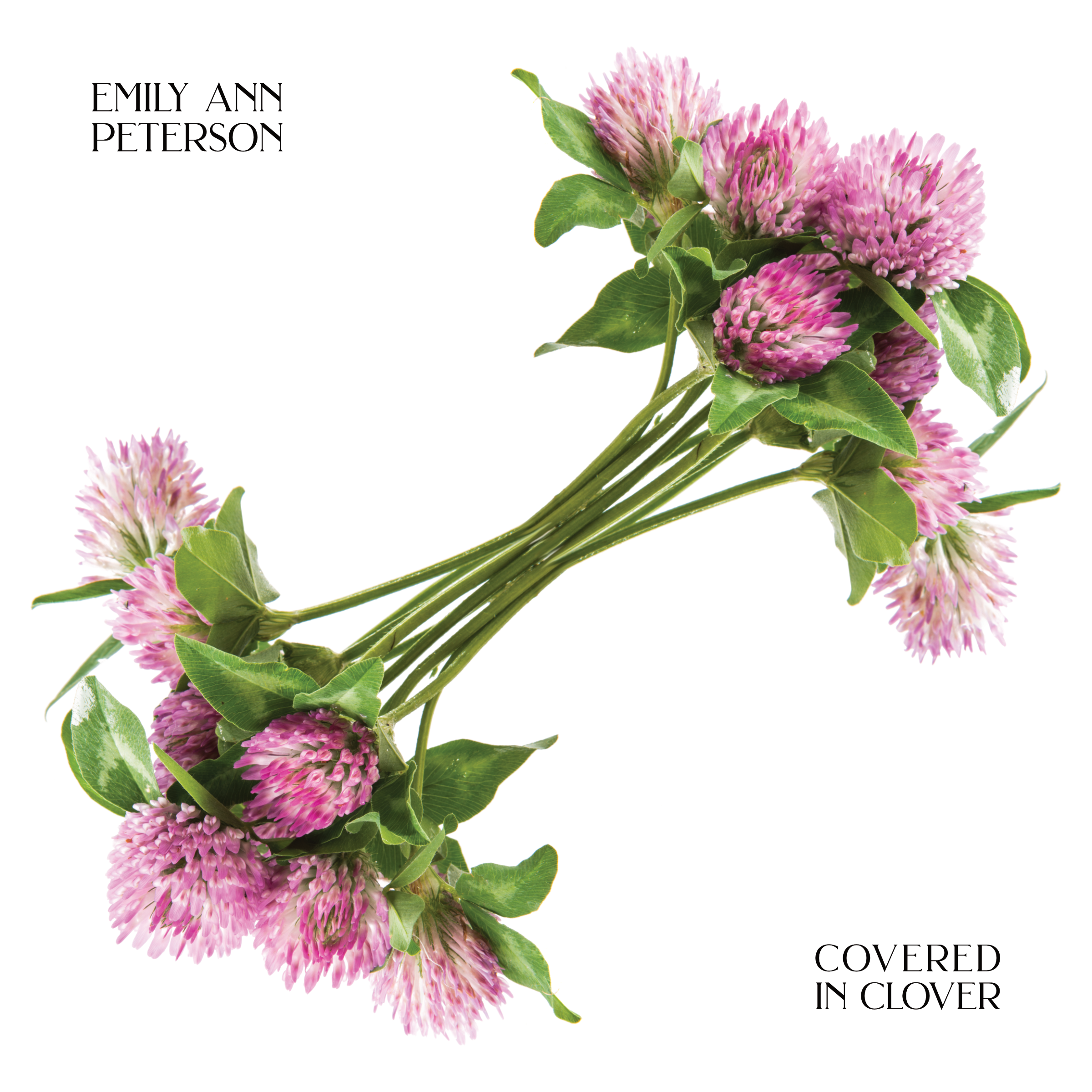 Covered in Clover - Emily Ann Peterson (Physical CD)